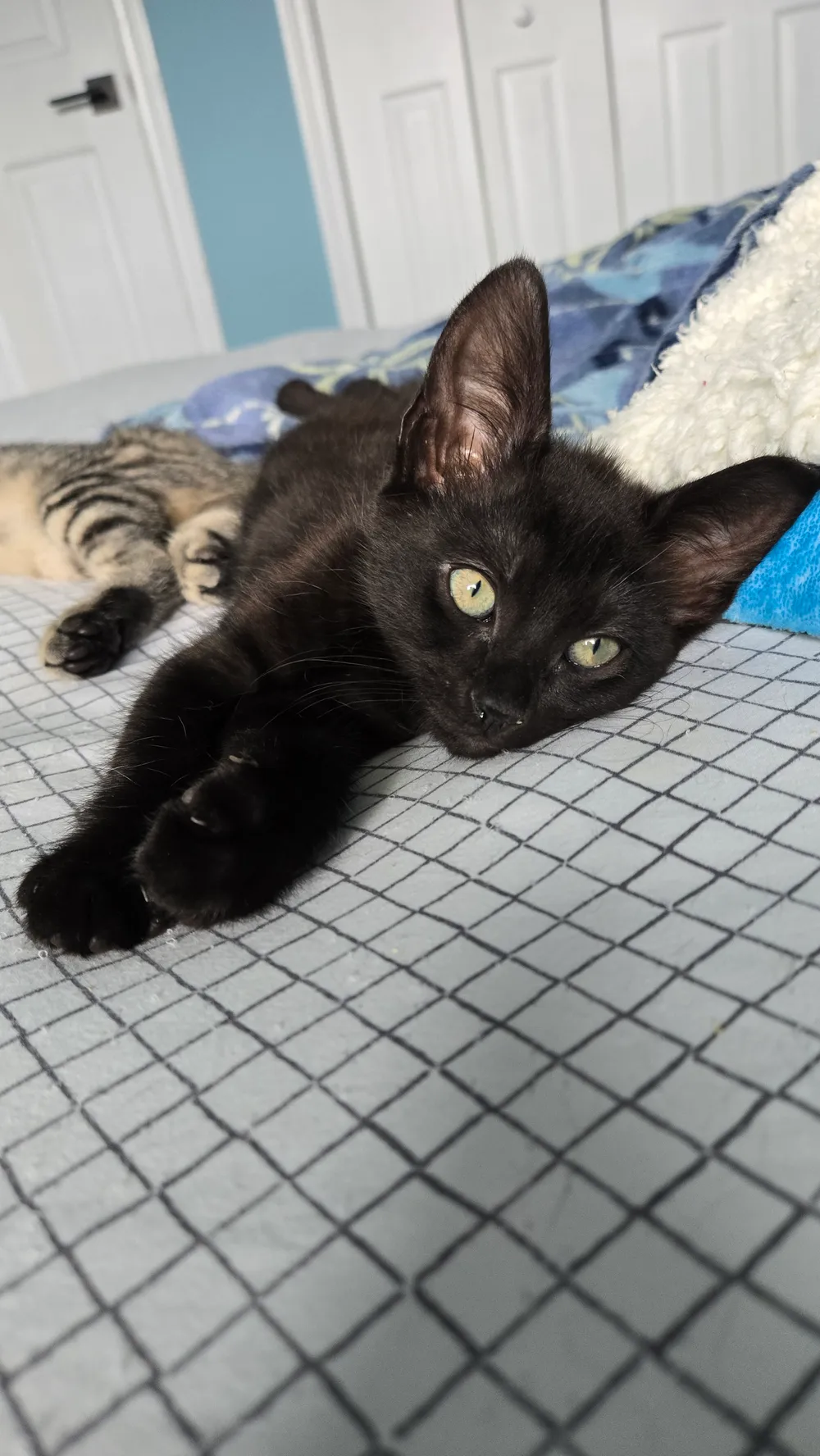 Photo of Ghost