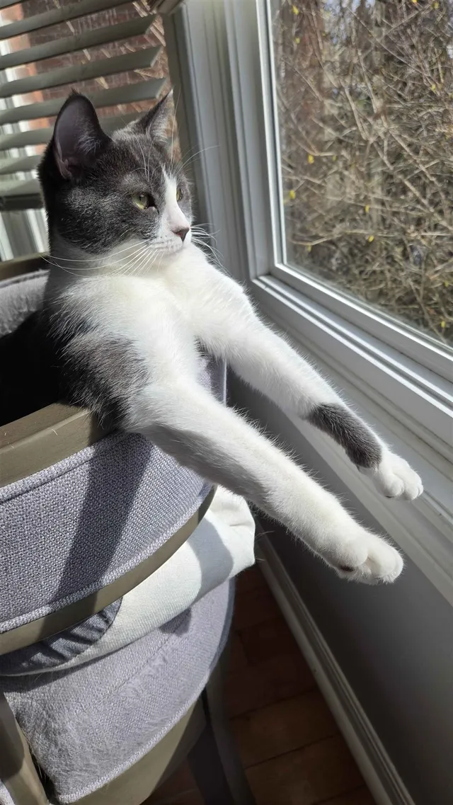 Photo 3 of Midna