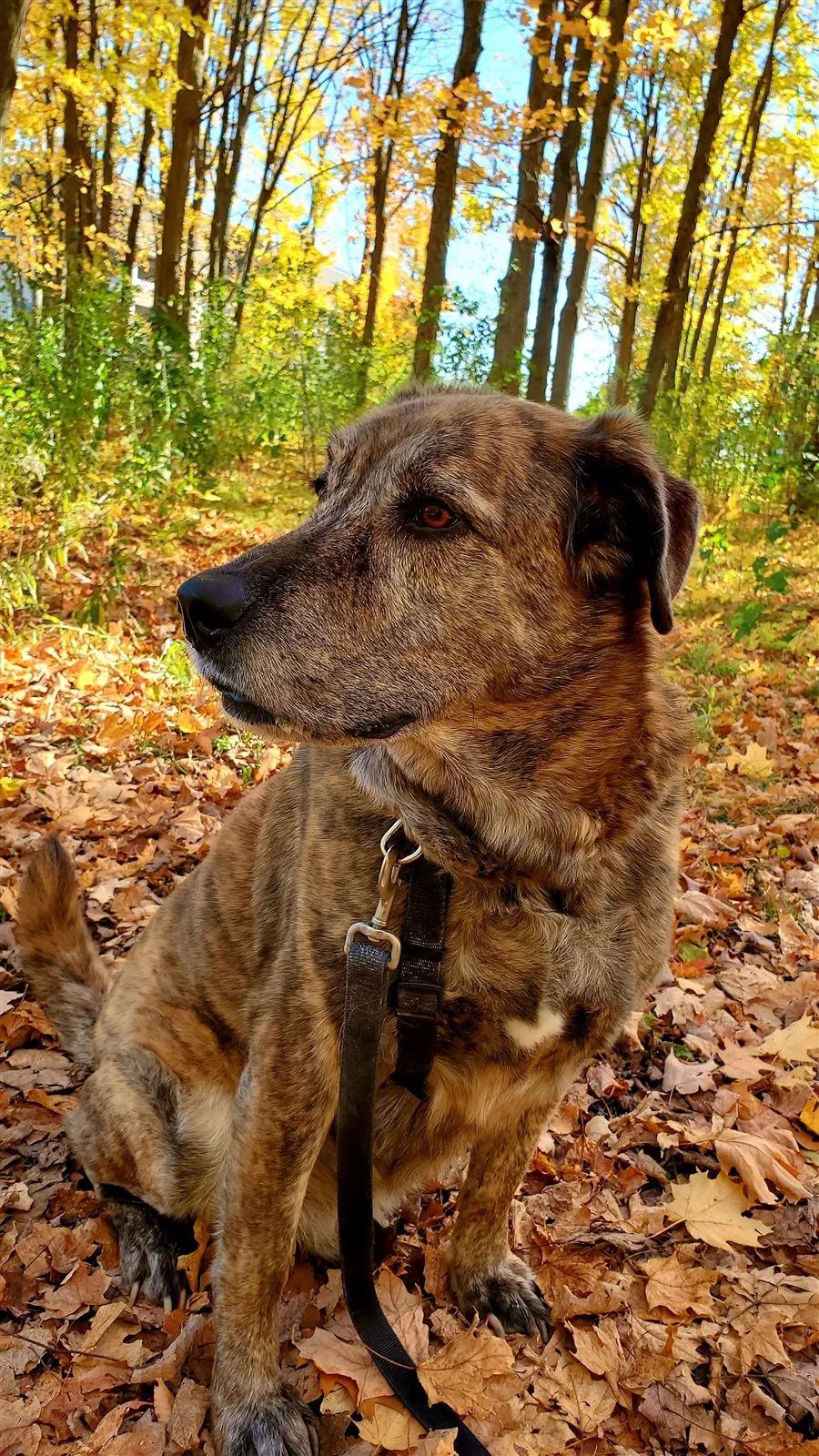 Photo of Molson